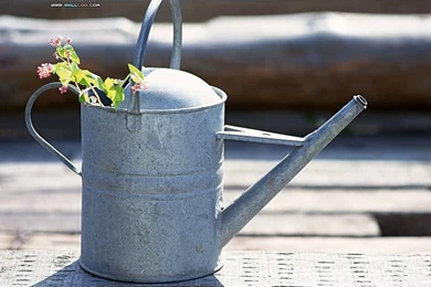 Garden Design Pictures   Backyard Garden Wallpapers13   Wallcoo.net