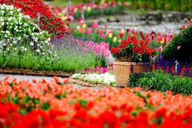 Flower Gardening Wallpapers Desktop Backgrounds