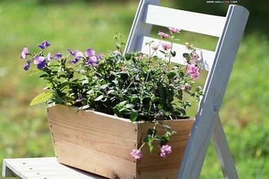 Garden Design Pictures   Backyard Garden Wallpapers2   Wallcoo.net