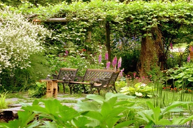 Summer Garden Wallpapers   Crazy Frankenstein