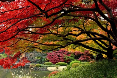 Gardens Wallpaper: Gardening Desktop Wallpaper Backgrounds Cool ...