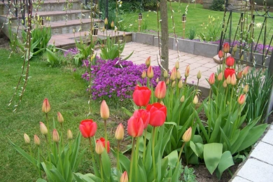 Spring Flowers   Gardening Wallpapers (1183500)   Fanpop