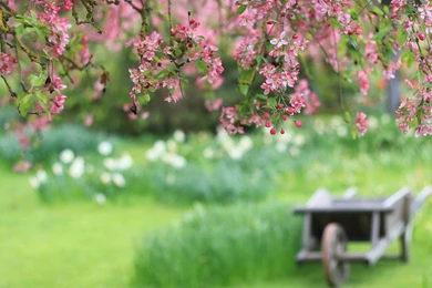Open Gardens / Jardins Ouverts