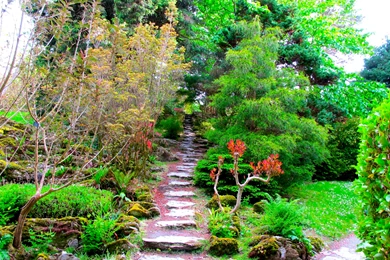 Wallpapers Gardens Muckross House Garden Ireland Nature Photo ...