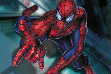 Spiderman Cartoon Images   Wallpapers HD Wide