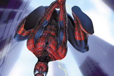 Spiderman Cartoon Wallpapers   Wallpapers Cave