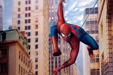 Spiderman cartoon hd wallpapers