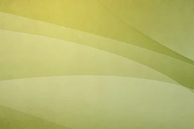 Champagne Style   HD Wallpapers