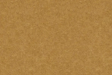 Wallpapers Versace Single colour Gold 96218 6 Wallpapers Designer ...