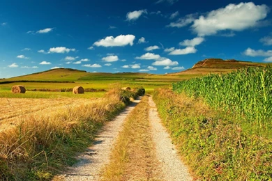 Landscapes Wallpapers: Landscapes Nature Desktop Background Images ...