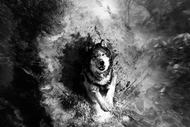 Wallpapers Abstract Art Black And White Wolf