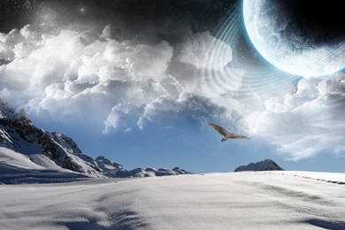 Wallpapers American Greetings