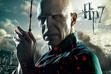 Harry Potter And The Deathly Hallows Part 2 Wallpapers And Theme