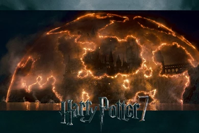 Wallpapers Dory Hd Harry Potter Deathly Hallows 1920x1080 ...