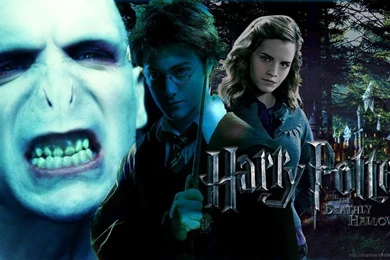 Harry Potter 7 Wallpapers