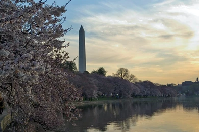 Fantastic Washington HD Wallpapers