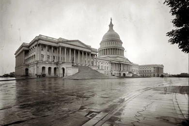 Washington Dc Grayscale Capital