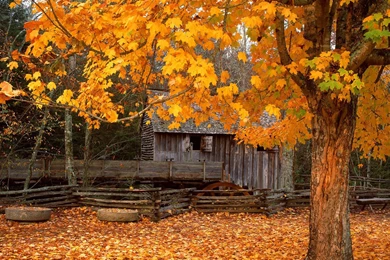 Widescreen Wallpapers Of Beaitiful Nature (Vol.5) 1440x900 NO.15 ...