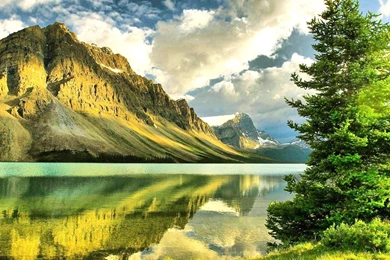 Let's Talk — Conscious Leadership Institute