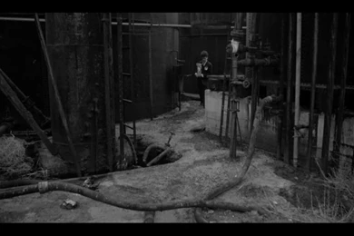 Eraserhead On Pinterest