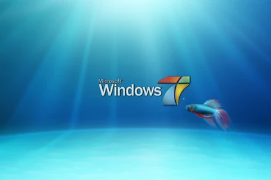 Fish Windows 7 Wallpapers