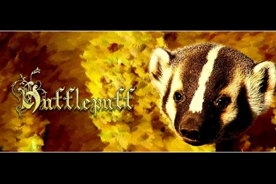 Hufflepuff   Hufflepuff Wallpapers (7768481)   Fanpop
