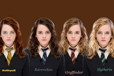 Download Wallpapers Hufflepuff, Puffinus, Ravenclaw, Kulturen ...
