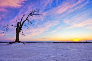 Wallpapershdview.com: Winter Sunset HD Wallpapers For IPhone