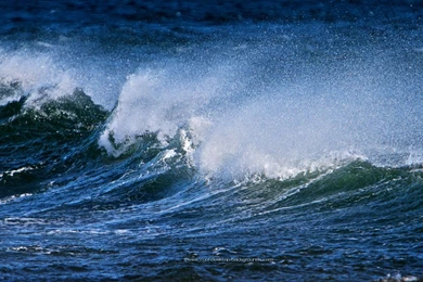 Free Ocean Desktop Wallpapers   Wallpapers Cave