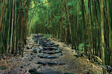 2015 10 08   Page 173