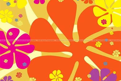 Green Screen Sample Backgrounds