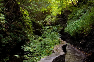 Download Wallpapers 3840x2400 Forest, Path, Steps, Nature Ultra HD ...