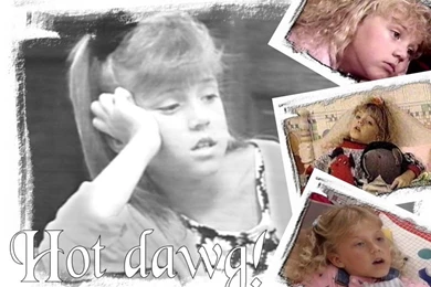 Jodie Sweetin   Full House Wallpapers (584648)   Fanpop