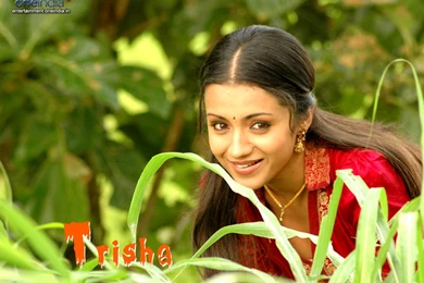 Wallpapers Trisha Saree Hot Photos Of In 1024x768