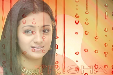 Wallpapers Trisha Saree Hd Base 1024x768