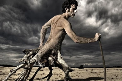 Download Tree Man Wallpapers   Wallpapers Widest