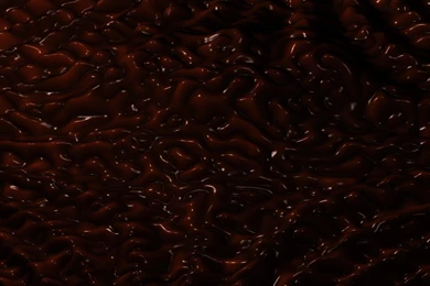 Chocolate Rose Wallpapers