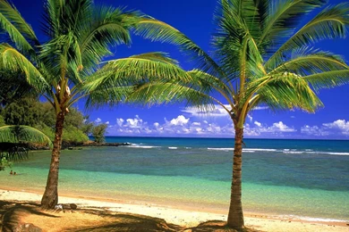 Alamanos Beach Hd Wallpapers