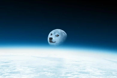 Moon Doge Wallpapers