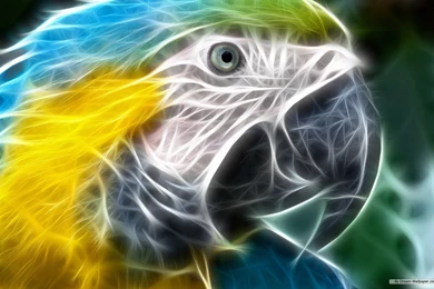 Animals Pictures Hd Download Hd Wallpapers