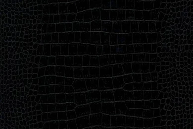 1466 18 Decora Natur 5 Wallpaper, Roll   Contemporary   Wallpapers ...