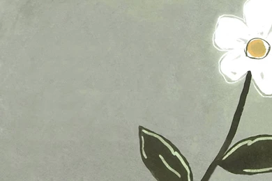 Single_Daisy_Simple_and_pretty_subdued_and_sophisticated 1280x800 ...