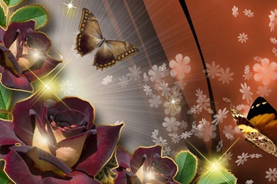 Sophisticated Reses >> HD Wallpaper, Get It Now!