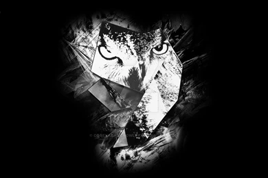 Browsing Wallpapers On DeviantArt