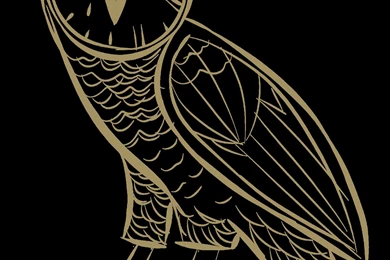 October's Very Own Owl By ILoveTygaAlot On DeviantArt