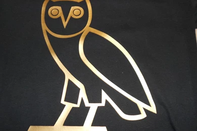 Ovo Drake October's Very Own "Ovoxo Owl Gang" Tshirt – TshirtNow