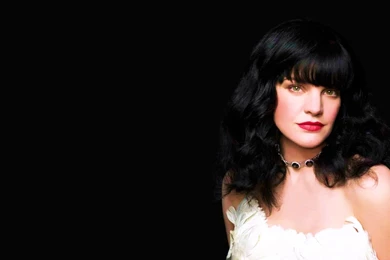 Fonds D'écran Pauley Perrette : Tous Les Wallpapers Pauley Perrette