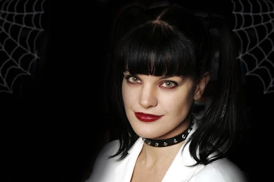 Pauley Perrette Ncis Abby
