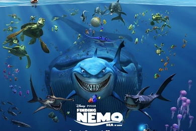 Finding Nemo Pixar Wallpapers Free Desktop Backgrounds And Wallpapers