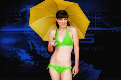 Abby Sciuto + Pauley Perrette On The Women of NCIS   DeviantArt